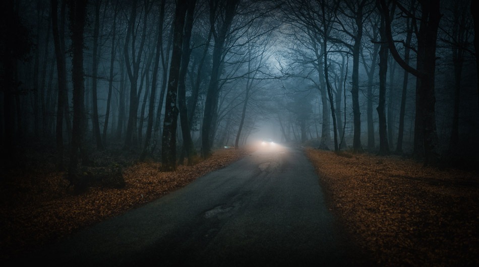 A narrow road through a dark forest, illuminated by the headlights of an oncoming car. The scene is enveloped in fog, creating a mysterious atmosphere reminiscent of haunted roads in Illinois.